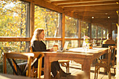 Businesswoman working on laptop in sunny autumn restaurant
