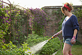 Woman with hose watering vegetables in sunny summer garden