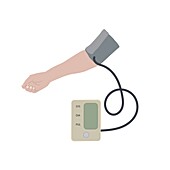 Measuring blood pressure, illustration