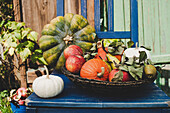 Pumpkins and apples on a chair outdoors