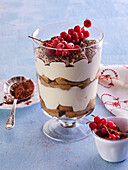 Tiramisu with red currant in glass dessert cup