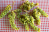 White wine grapes on a chequered background