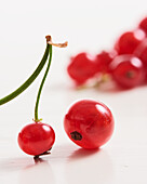 Red currants (close up)