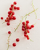 Red currants and currant stalks