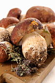Fresh porcini mushrooms on a chopping board (close-up)