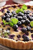 Swedish blueberry tart (close up)