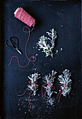Sprigs of sugared rosemary