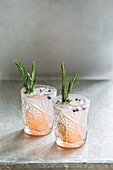 Gin with soda water and rosemary