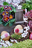 Ostereier mit Spitzenband, Blütenzweig der Blutpflaume und gerüschte Primel