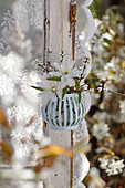 Posy of star magnolia and sprigs of sloe blossom