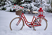 Rotes, dekoriertes Fahrrad steht im verschneiten Garten