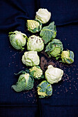 Baby cabbage: Savoy cabbage, romanesco and white cabbage