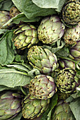 Artichokes