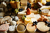 Display of different types of cheese