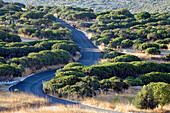 Landschaft mit Straße (Griechenland)