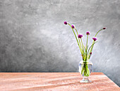 Chive blossoms in a glass vase
