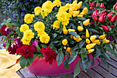 Pink tub with edible 'Salsa' peppers, marigold flowers and cockscomb