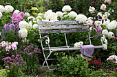 Bench in a late summer border with Smooth hydrangea 'Annabelle', phlox, anise hyssop, allium, zinnias, stonecrop