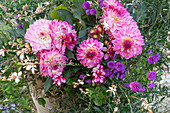Blütenkombination aus Dahlie, Hängegeranie, Herbstaster und Prachtkerze