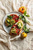 Röstbrot mit roten und grünen Tomatenscheiben und Basilikum