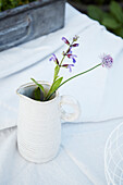 Herb flowers in jug