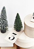 Miniature Christmas trees, card with number, round boxes