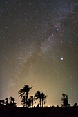 Milky Way over a palm grove, Iran