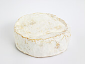Old Burford cheese