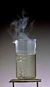Beaker of heated, steaming water
