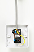 1 gang dimmer switch