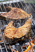 Cajun grouper fillets on barbeque grill