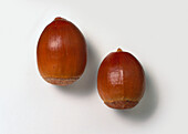 Two acorns