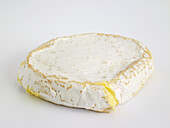 Celeste cheese
