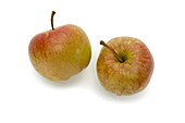 Royal Gala apples