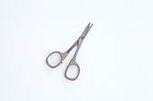 Pair of short scissors