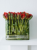 Tulips and rosemary in a cube vase