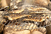 Grilled bass on barbeque grill