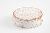 French pavin cow's milk cheese