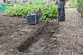 Man digging trench on allotment