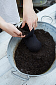 Filling tights with soil