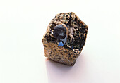 Ilmenite crystal with actinolite and quartz
