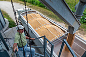 Trucker loading corn from a grain storage silo