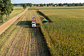 Corn harvest, aerial photograph
