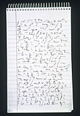 Page of shorthand writing in a spiral notepad