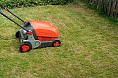 Small rotary mower on lawn