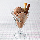 Chocolate ice cream with biscuit tubes