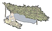 One-person lean-to, illustration