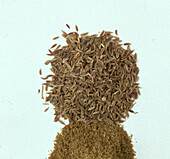 Caraway seeds