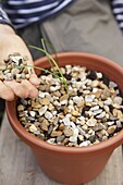 Hand placing gravel on top of soil in plant pot