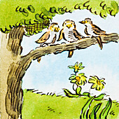 Three birds perched on branch in tree, illustration